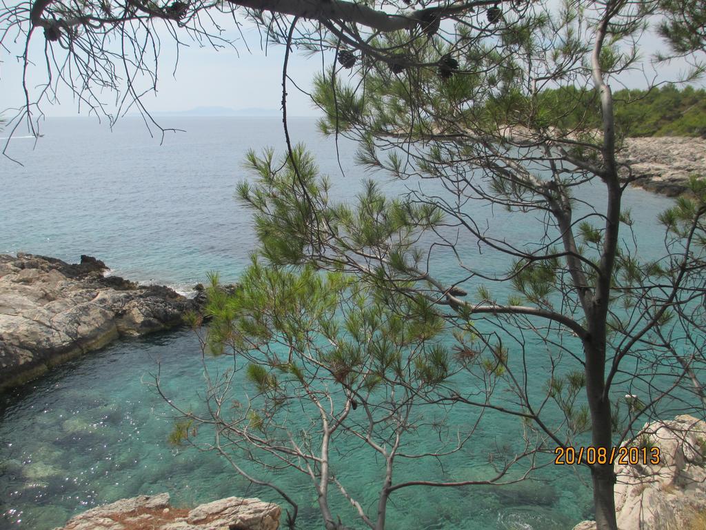 Apartment Falcon Stari Grad  Εξωτερικό φωτογραφία