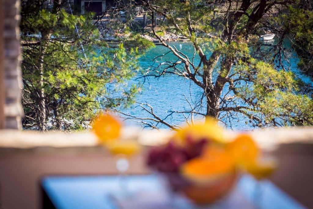 Apartment Falcon Stari Grad  Δωμάτιο φωτογραφία