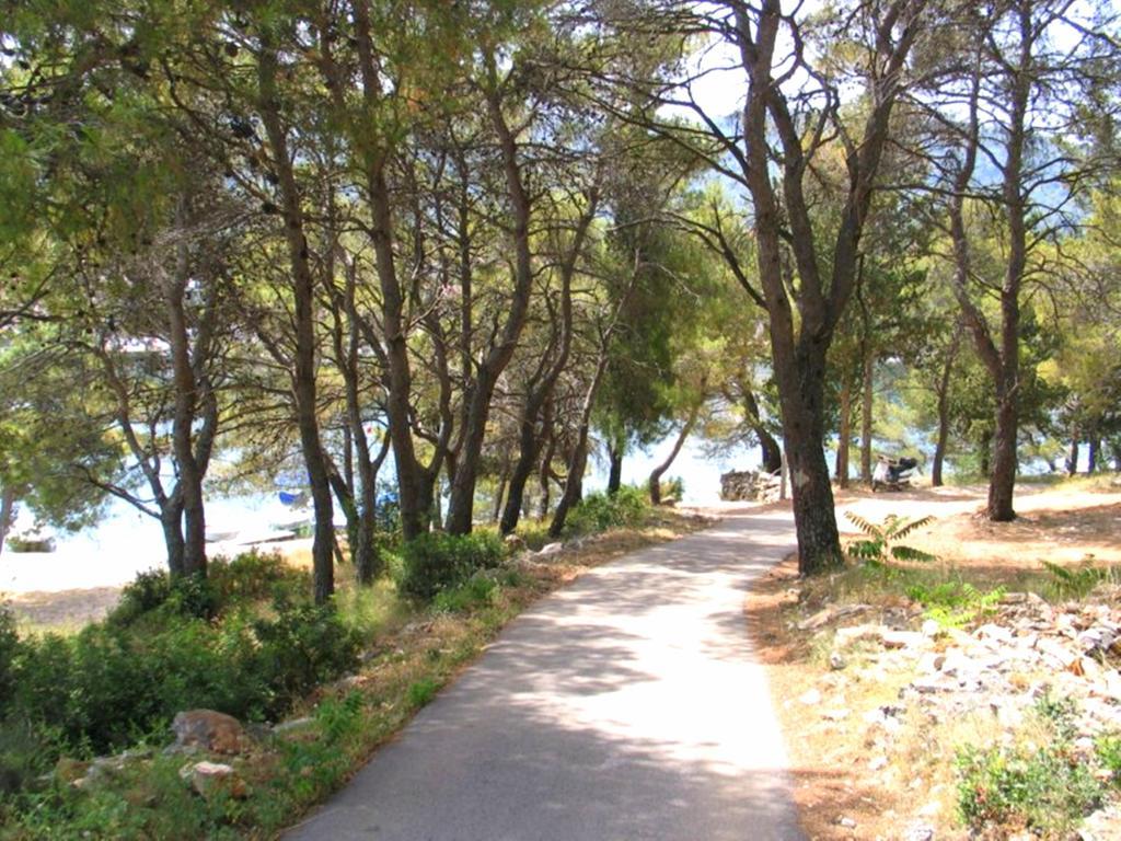 Apartment Falcon Stari Grad  Δωμάτιο φωτογραφία