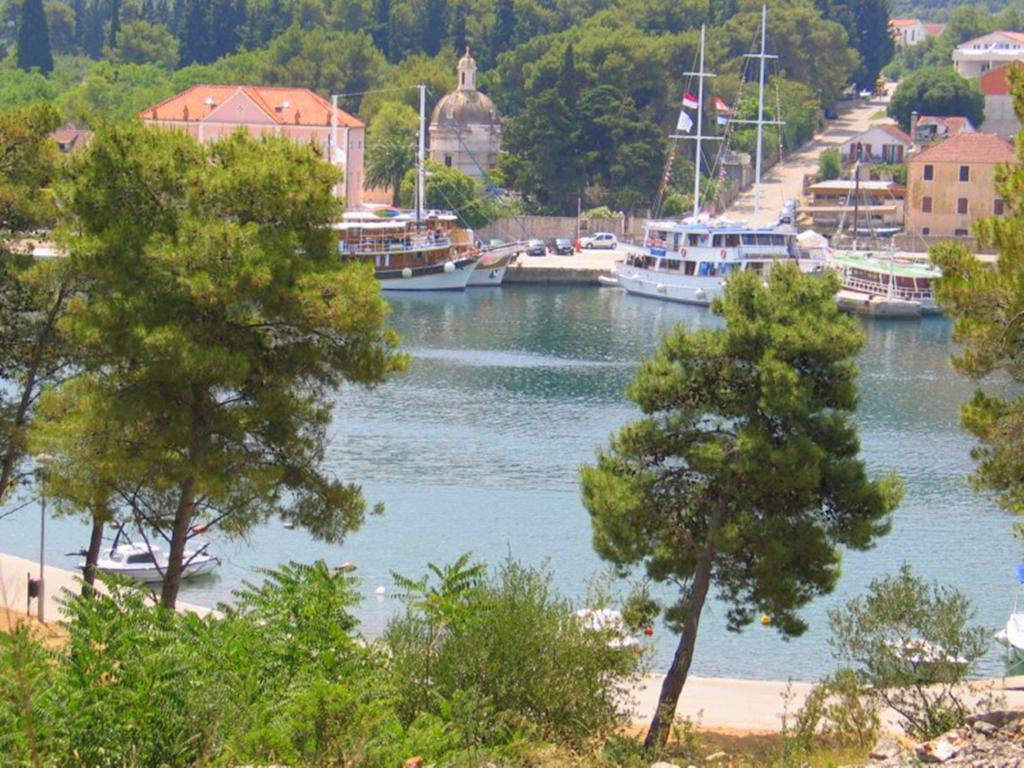 Apartment Falcon Stari Grad  Δωμάτιο φωτογραφία