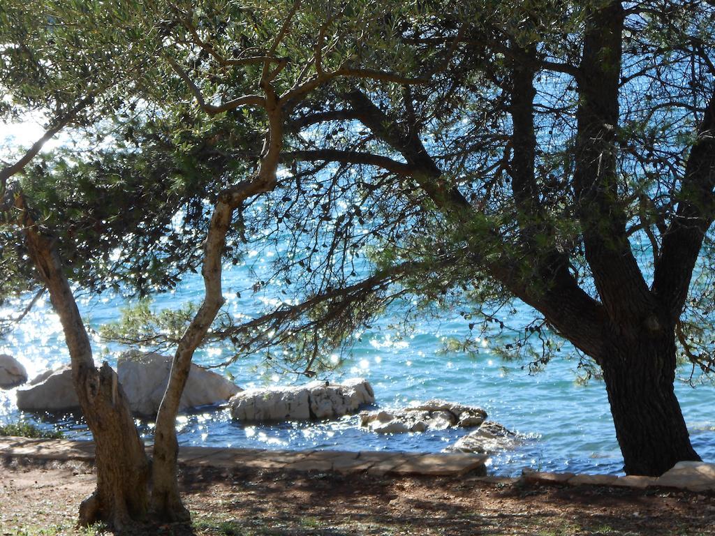 Apartment Falcon Stari Grad  Δωμάτιο φωτογραφία