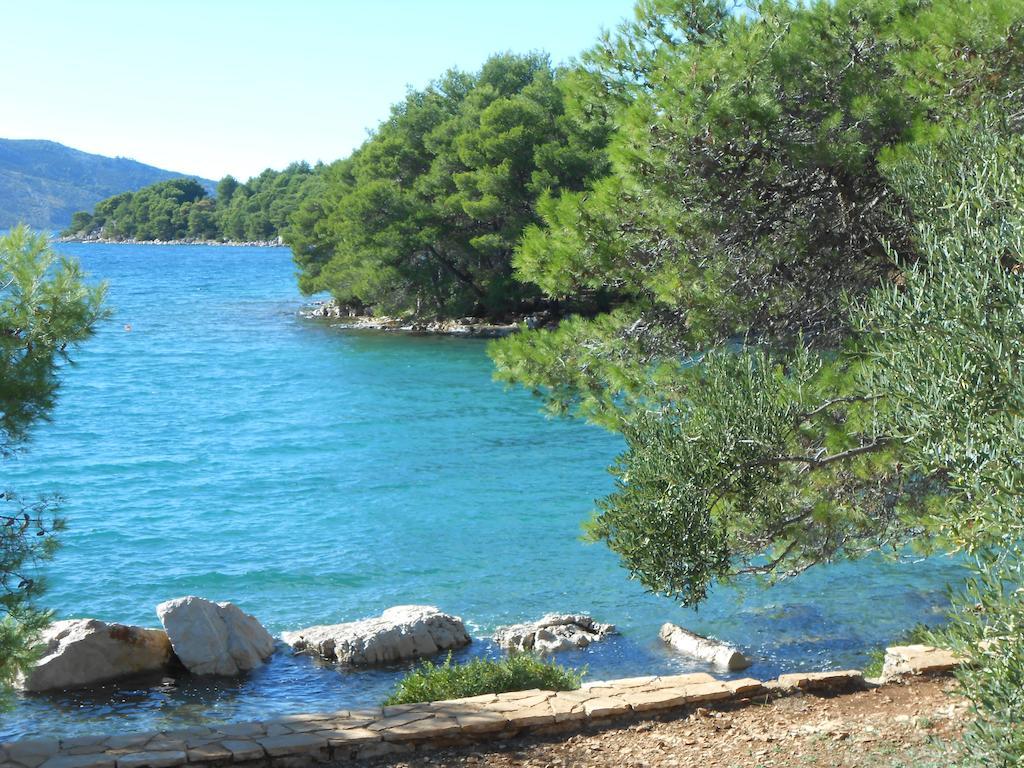 Apartment Falcon Stari Grad  Εξωτερικό φωτογραφία
