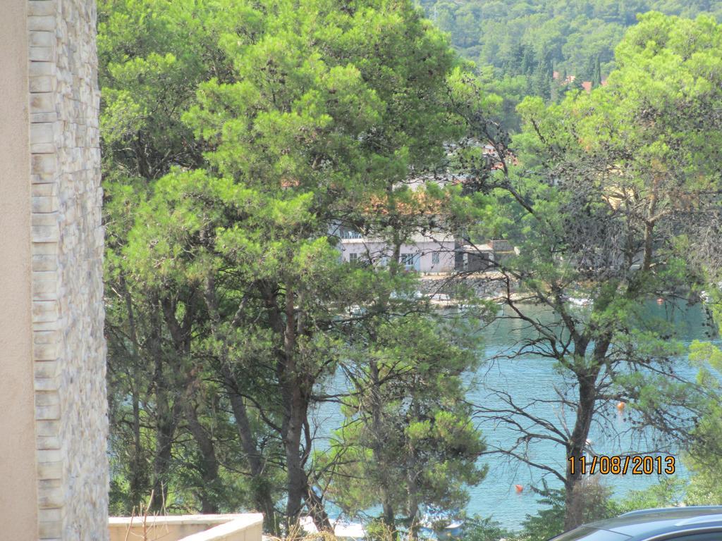 Apartment Falcon Stari Grad  Δωμάτιο φωτογραφία