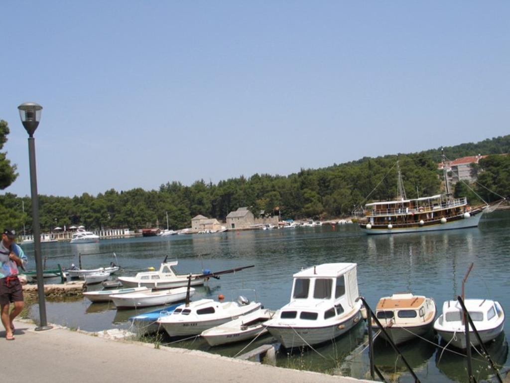 Apartment Falcon Stari Grad  Δωμάτιο φωτογραφία