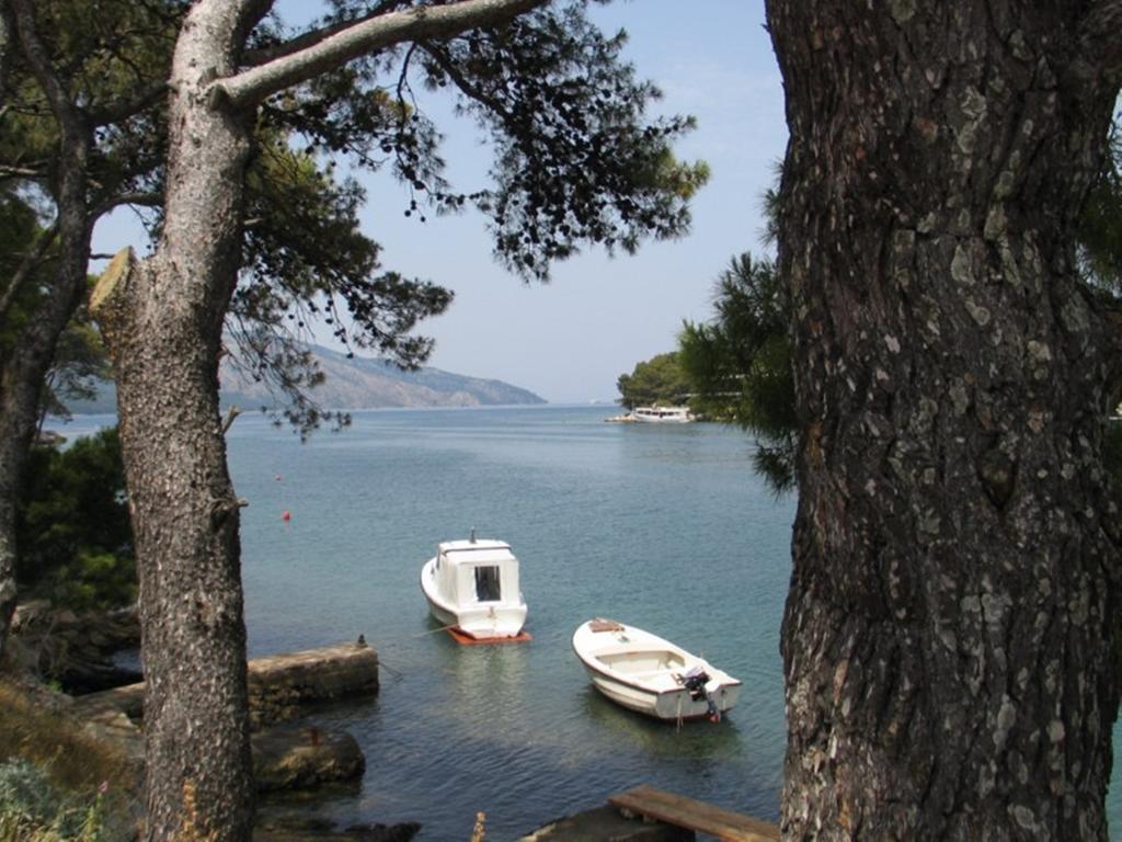Apartment Falcon Stari Grad  Δωμάτιο φωτογραφία