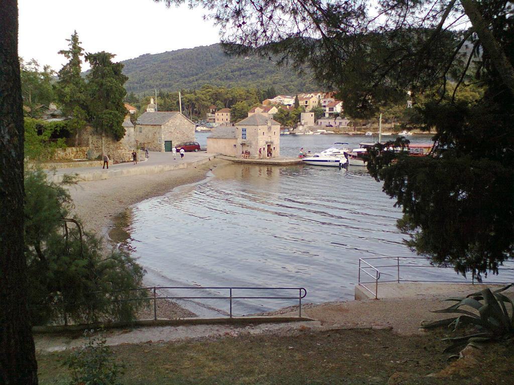 Apartment Falcon Stari Grad  Δωμάτιο φωτογραφία